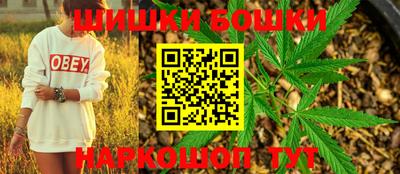 гашик Будённовск